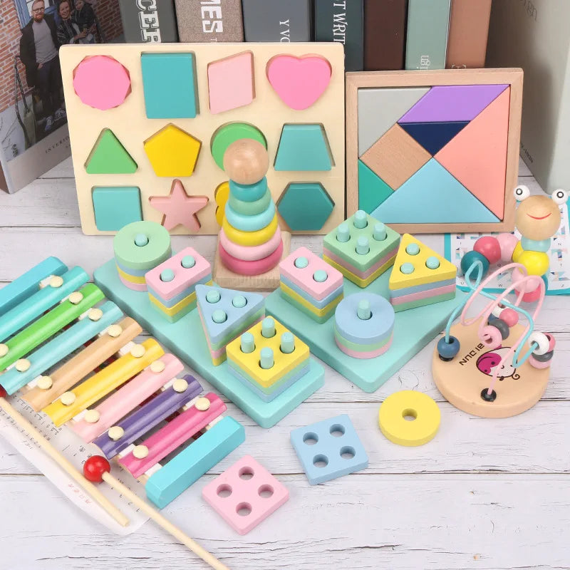 Montessori 3D Wooden Puzzles