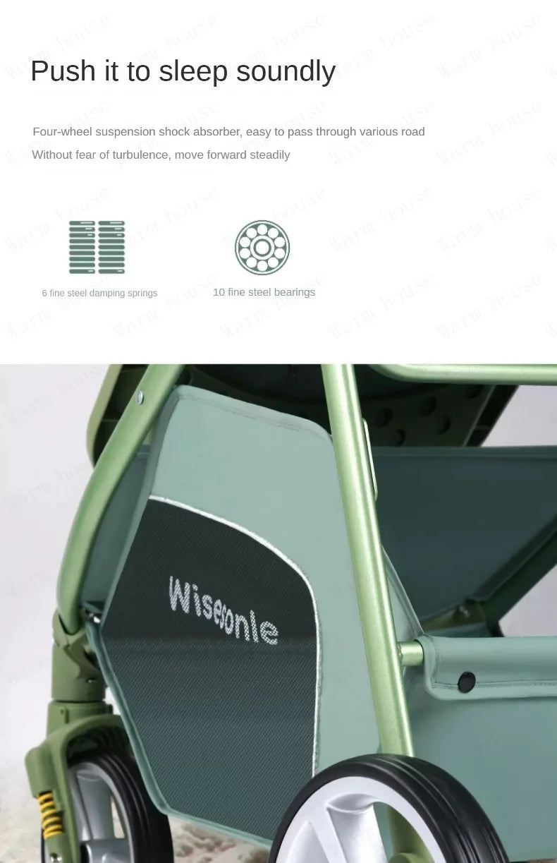 Wisesonle