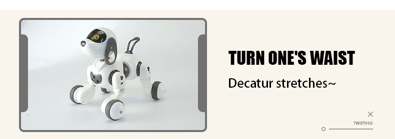 Robotic Puppy