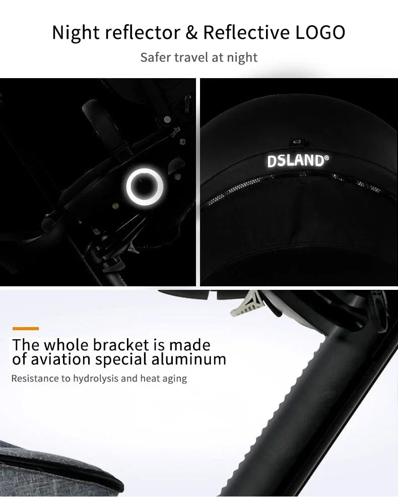 DSLand