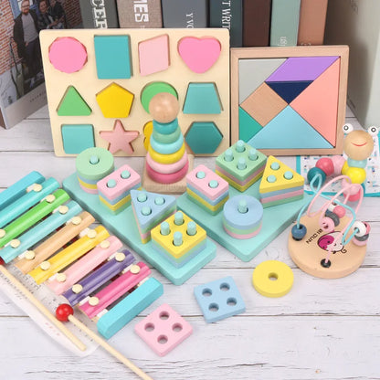Montessori 3D Wooden Puzzles