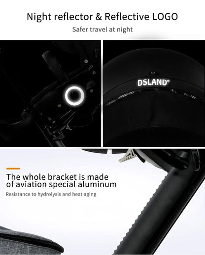 DSLand